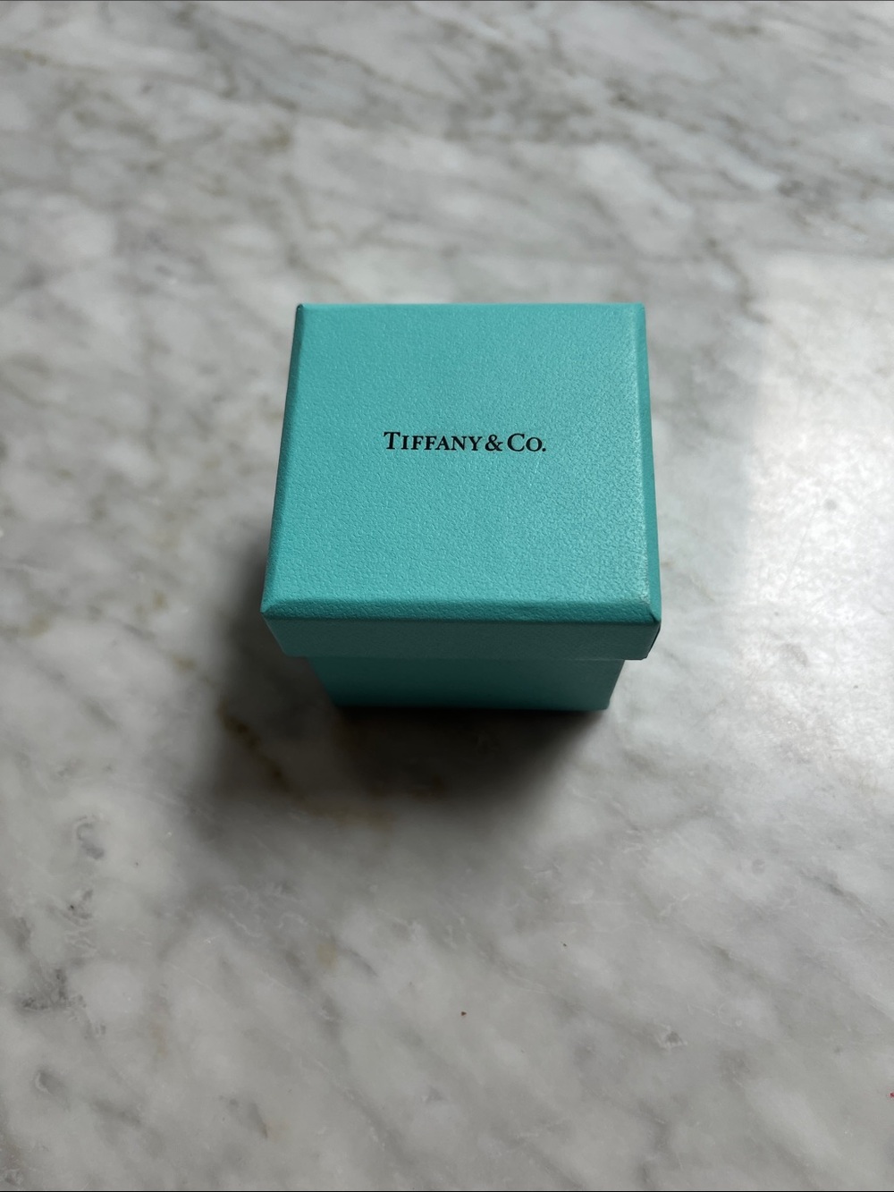 Tiffany & Co. Robin's Egg Blue Gift Box with Black Logo